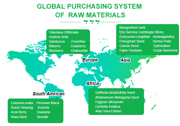 Global Supply Chain Global Supply Chain